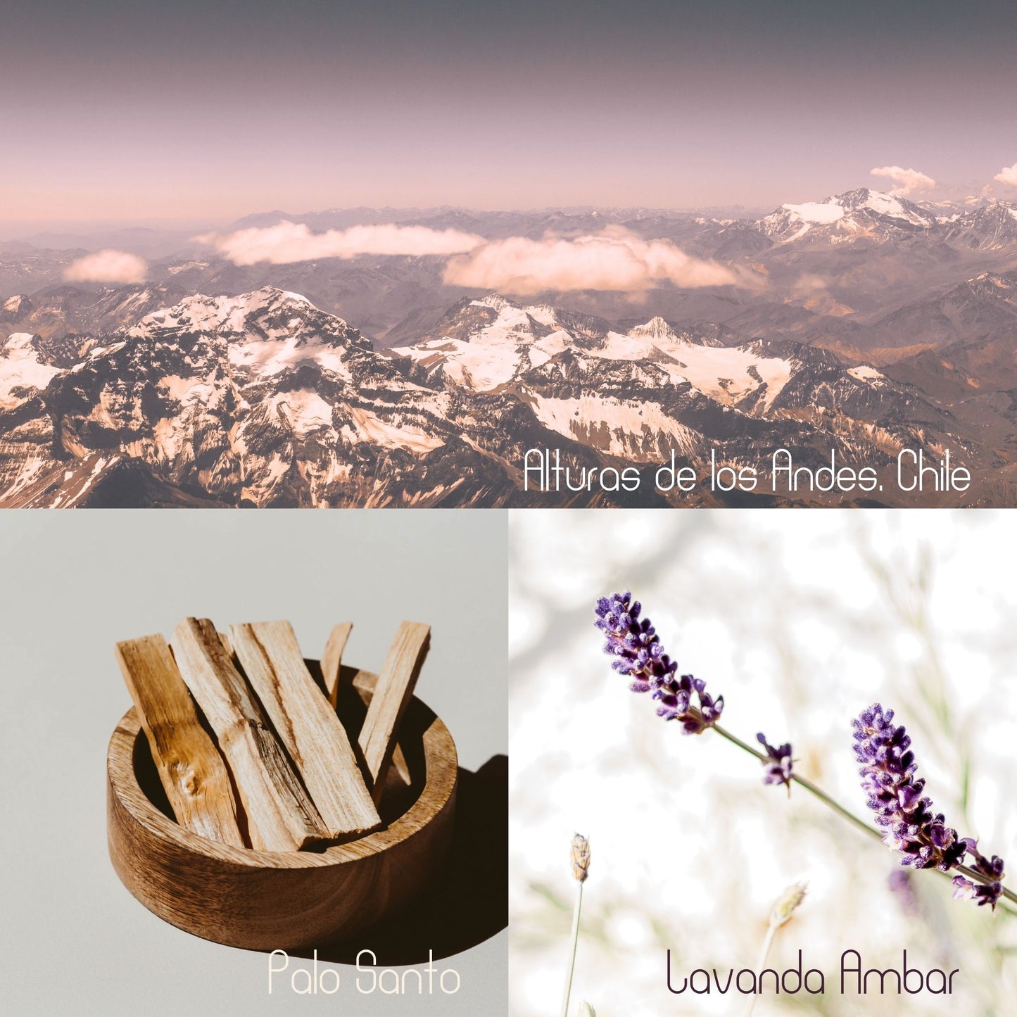 Difusor de varillas Alturas de los Andes - Lavanda y Palo Santo