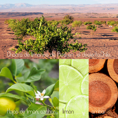 Difusor de Varillas Chacra de Limoneros - Hoja de limón y cedro