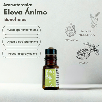 Roll-on Aromaterapia Alivia Eleva Ánimo